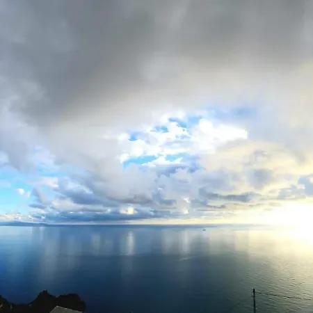 Ulivo Blu