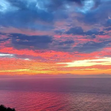 Nyaraló Ulivo Blu *