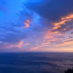 Ulivo Blu Conca dei Marini