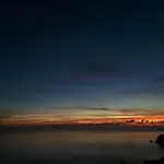 Ulivo Blu Conca dei Marini