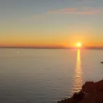 Ulivo Blu